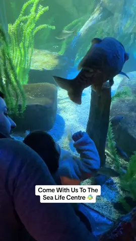 This is your sign to take your baby there 🥹 #fyp #family #comewithus #familyvlog #familydayout #babydayout #babysensory #familyday #familytime #couplestiktok 