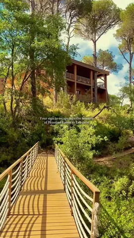 Nature therapy? Bkassine Forest has got you covered🌳💆‍♀️ #MomentsbySera #bkassine #bkassinevillage #بكاسين #forest #lebanon #lebanon🇱🇧 #لبنان