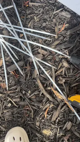 30 Feet Dryer Vent Clean Kit#viral #MomsofTikTok #treasurefinds #ElevateYourHome #spotlightfinds #vacayreadybeauty #SelfCareFinds #FashionistaFaves #CozySpaces #TechObsessed  #DealHunters  #rushready  #FallDealsForYou #Fallfreshness #Falloutfits #Earthtone #BeautifulYou #Fallfreshness #Falloutfits #Earthtone #BeautifulYou #TreasureFinds #SavingsSquad #tiktokshopcybermonday #spotlightfinds #blackfriday  #christmasgiftideas #FallDealsForYou #TikTokMadeMeBuylt #TTSBeautyBesties #BlackFriday #Chrismas  #GiftforMom #WifeGirlfriend #ValentineDay #Christmas#Anniversary #GirIfriendGifts#FallGifts #FallDecor #GiftGuide#LiveHealthywithTTS#ElevateYourHome  #GiftGuide  #TikTokShopHolidayHaul #TikTokShopBlackFriday. #FreshForWinter #TikTokShopHolidayHaul #TikTokHolidayHaul #spotlightfinds #TikTokShopCreatorPicks #TikTokShopHolidayHaul #TikTokShopLastChance #TikTokShopNewYearNewAura  #spotlightfinds #ShopBlackOwned #ShopWomenOwned #ShopwithPride #ShopLatinOwned #spotlightfinds #BIGSALE #TikTokShopRestock #BUYNOW #Greatpicks #TTSLevelUp