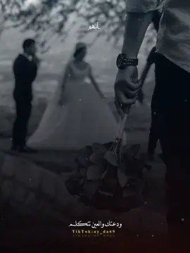 ودعتك والعين تتكلم 💔 . . . . #امل_حجازي #ودعتك_وانا_عيني_تقلي_اتحداك_الليلة_تنام #حالات #تصميم_فيديوهات🎶🎤🎬 #fyp #music 
