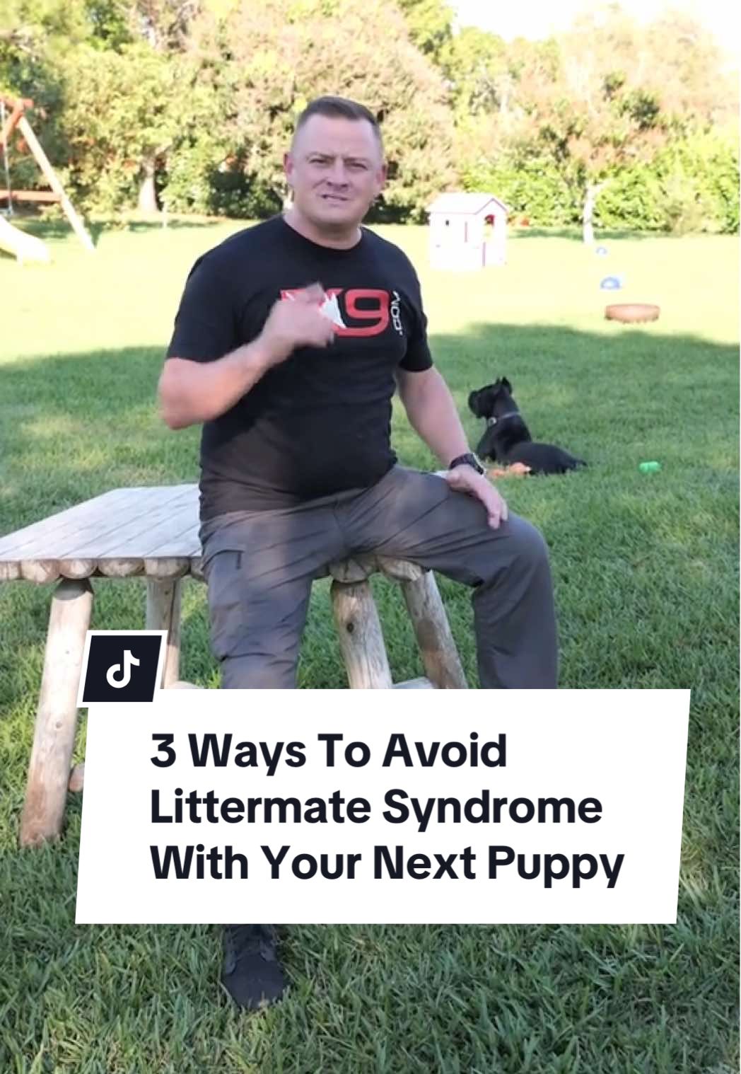 Avoiding Littermate Syndrome is crucial for raising a well-behaved dog! Here are 3 essential tips to prevent it: 1️⃣ Don’t buy two puppies at once! Ethical breeders won’t sell littermates together. 2️⃣ Raise one puppy at a time. Wait until it's at least 2 years old before getting another. 3️⃣ Socialize wisely. Short, structured interactions with other dogs—your puppy should bond with YOU first! If you want to learn how to train your dog from Zero to Hero... Check out our FREE COURSE 