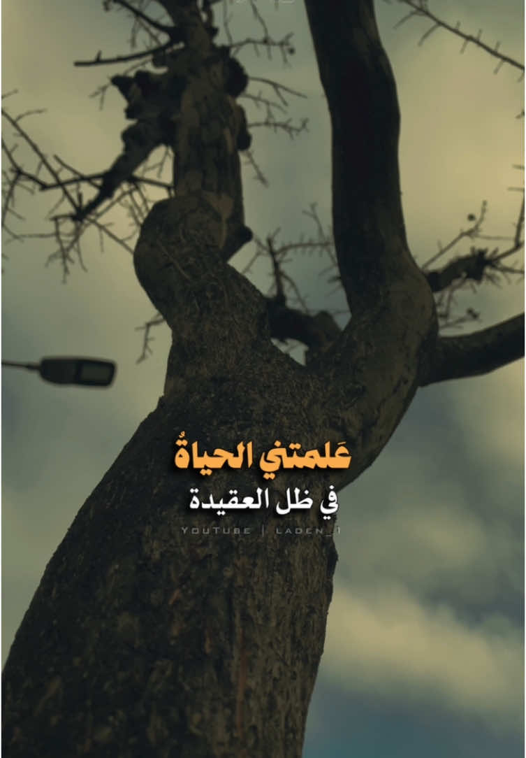 علمتني الحياة في ظل العقيدة #تصويري #عُمَر_عُبَيدة #laden_1 #حالات_واتس #حالات #اكسبلور #مقاطع_اسلاميه #السعودية #خواطر #foryour #foryoupagee #fyp 