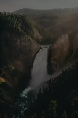 #سعد_الغامدي #استغفرالله♥️ #قورئان #دعا #quran #الله #fyp 