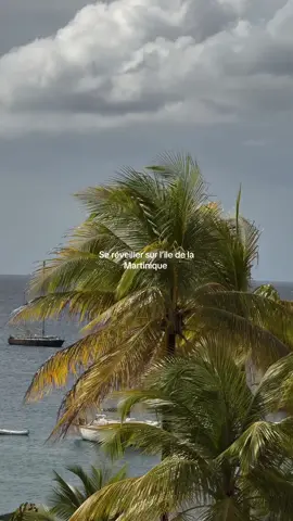 L’île de la Martinique 🌺 #martinique #antilles #972 