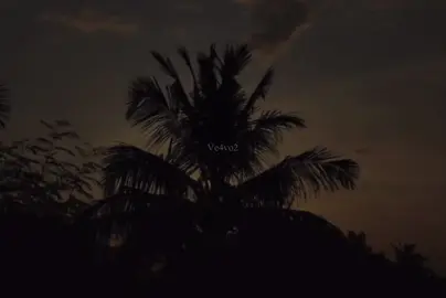 اعمل ماشئت فإنك ملاقيه ✨. #كلام_من_ذهب #fyp #viral #ve8o4 #مالي_خلق_احط_هاشتاقات #اقتباسات 