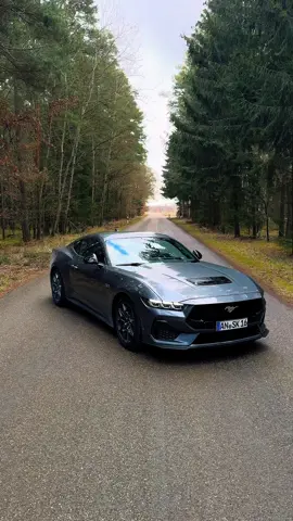 Ford Mustang GT 446 PS 0-100km/h - 4,9sec 5.0 V8 Schon für den Sommer dein Traumwagen Reserviert? - Melde dich heute noch für ein Tolles Angebot! Falls ihr weitere fragen habt dann schreibt uns sehr gerne hier eine Nachricht, natürlich auch auf WhatsApp oder per Mail möglich. Sportwagen-KTNG #sportwagen #mieten #carrental #sportscar #ford #mustang #gt #bayern #ansbach #nürnberg  #erlangen #vermietung #rental  #sportwagenvermietung 