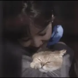 احب الشخصيات الهاديه جداااا #الصقيع_الاول #سيدراما #مسلسلات_صينية #4u #4upage #explore #parati #anime #foryou #bts 