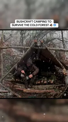 Setting up bushcraft camp in cold forest #camping #survival #outdoorlife #bushcraft 