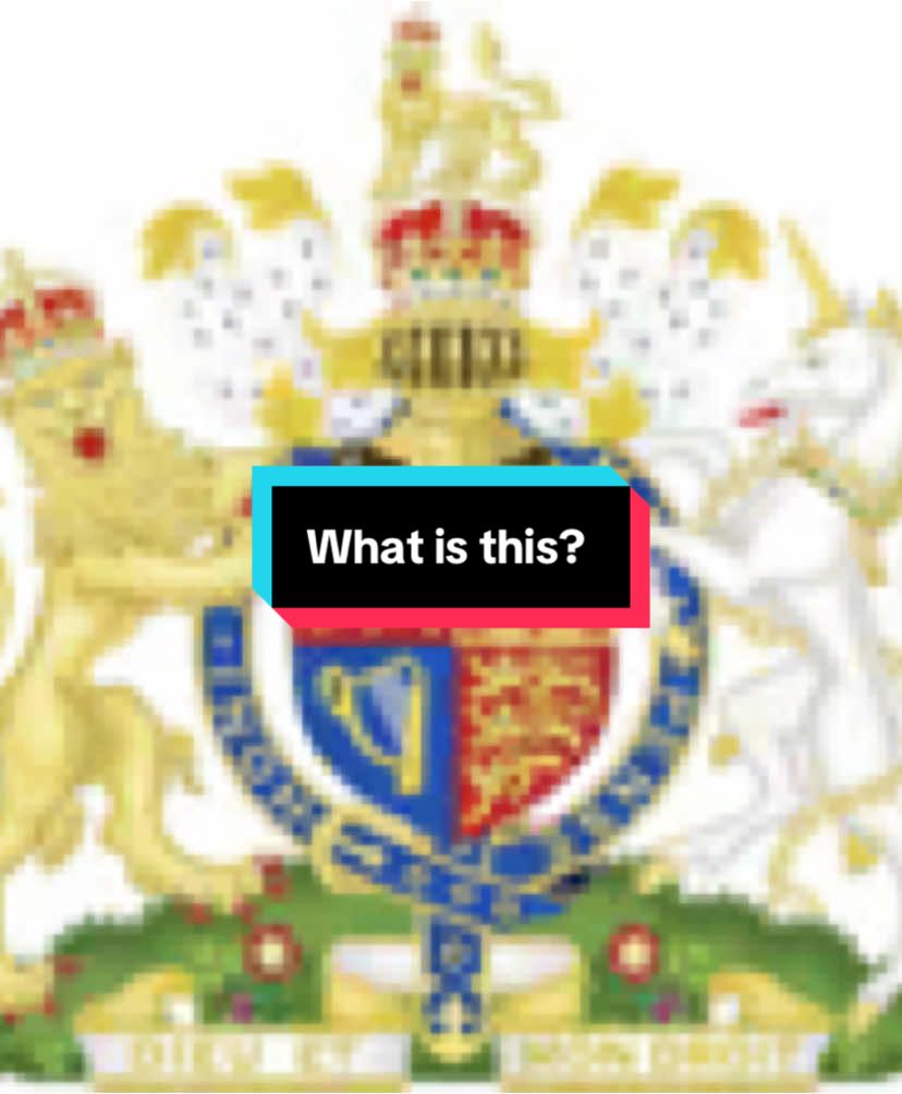 I will say this is my first time ever seeing this or something like it. I honestly know what to even search to find out more about it. lol lol am I just that old!?!? #fyp #yourpage #whatisit #royaltyvibes👑 #royalty #princess #texas #queen #princess #over50 #genx #carriage @TikTok Creator Marketplace @tiktok creators @TikTok CREATOR’S LAB. 