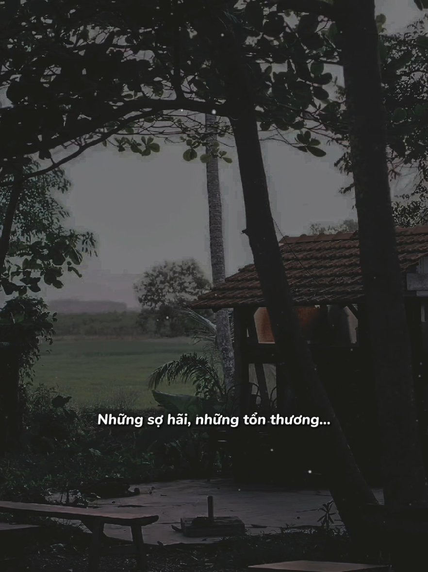 Có những ngày tự dưng ta buồn một cách vô cớ #nhachaymoingay #tamtrang #xuhuong2024 #trambuon12 #nghelasuy12 #SBTentertainment 