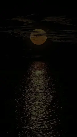 GỬI NGƯỜI TÔI YÊU.. ST: NGUYỄN HỮU THIẾT- TB: HUỲNH THẬT #guinguoutoiyeu#nhactinhyeu#nhachaymoingay❤️ #CapCut 