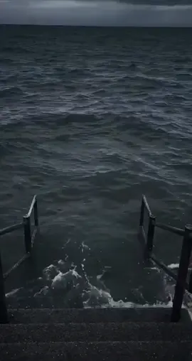 🤣🤣#meme #funnyvideos #viral #tptgroupbn #vuivemoingay❤️ #xuhuong #vuivekhongquao #memes