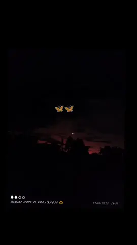 #vallenatos #vallenatosromanticos #contenidorandom #fyp #paratii #contenido #viral_video #___musically___ 🍀🫠 #, #kw 