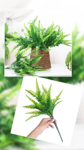 #pakis #daunpakis #daunartificial #bungaartificial  #dekorasirumah #dekorasikafe #dekorasiwedding  #fyp #fypage #viral #fyppppppppppppppppppppppp 