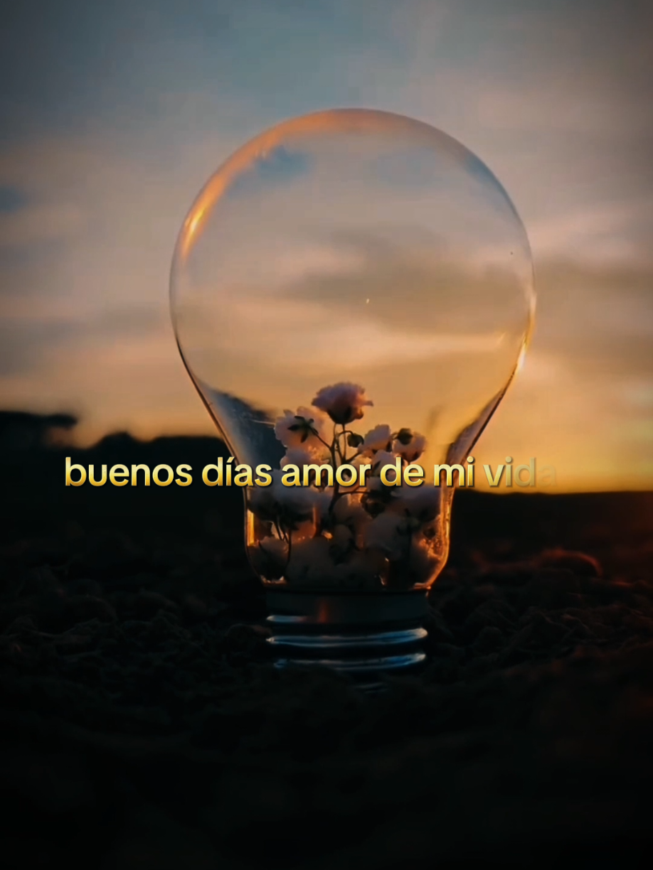 Buenos días amor de mi vida ✨😍#estadosunidos🇺🇸 #frasesbonitas #dedicatorias 