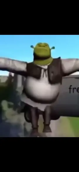 get it Shrek🕺(song: ilyTOMMY - pretty ho3) #ilytommy #fyp #fypシ #shrek #dance #tiktok #meme #plaqueboymax #xaviersobased #lol #exploremore #tiktok #fyppppppppppppppppppppppp #shrekisloveshrekislife #shrekthemusical #shrekmeme #hoodtrap #jerk #vibe 