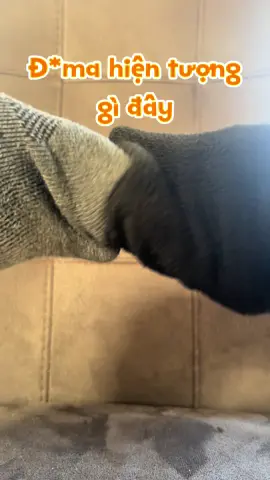 Vậy cũng được hả 🤣🤣🤣 #funny #dadjokes #xuhuong #tiktok 