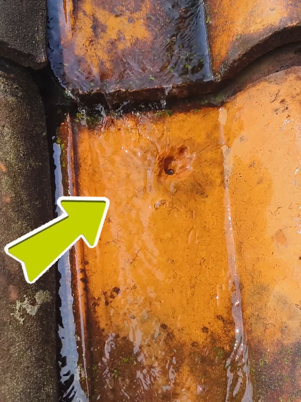 hemat biaya dan kuat!! solusi menambal genteng bocor#trik #idecermelang #fyp 