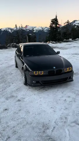 E39  #bmw #bmwlife #e39 #e39club #e39m5 #e39bmw #rec 