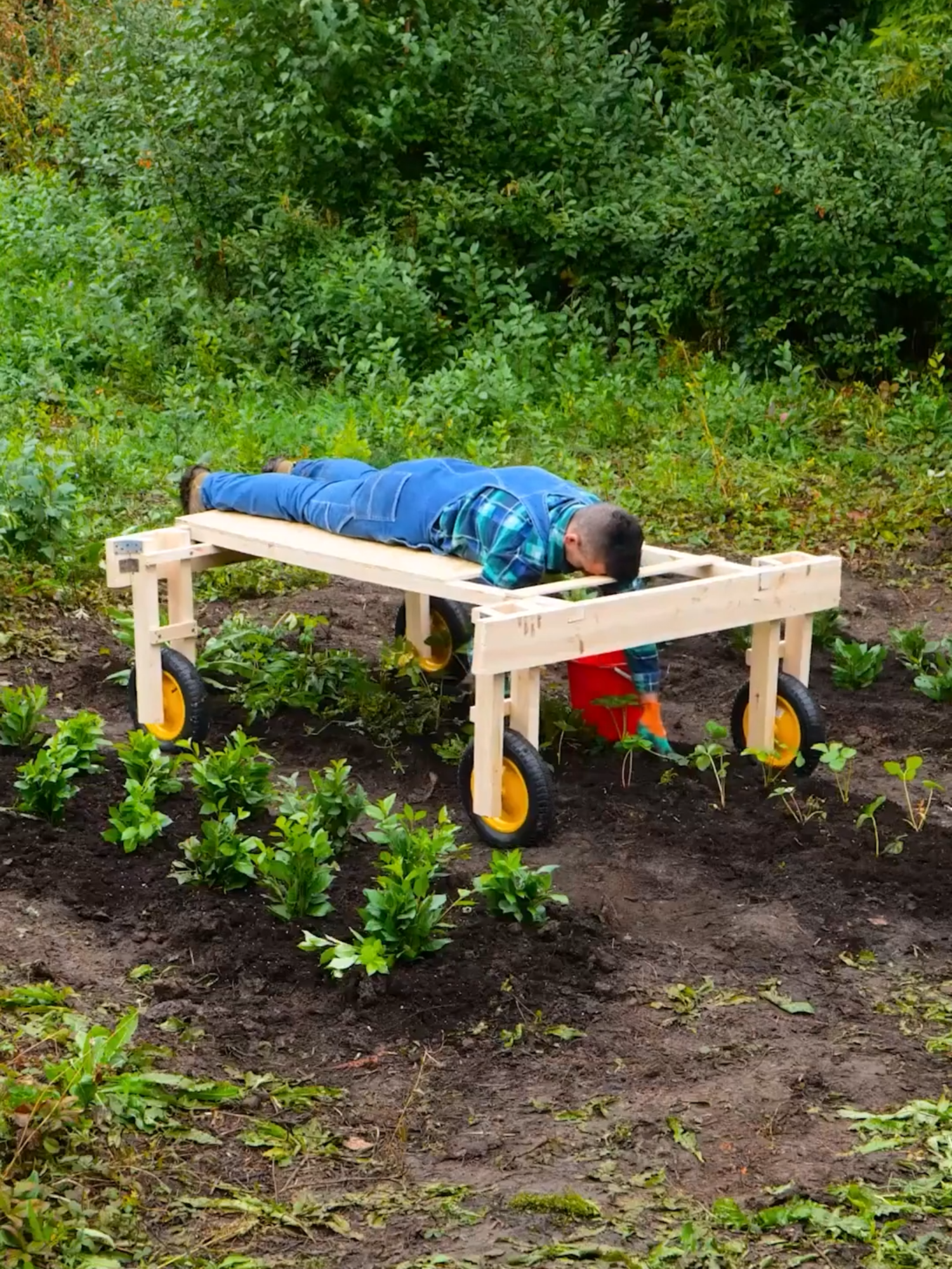 Consejos y trucos de jardinería para los amantes de las plantas 💚  #Planting #PlantCare #gardeningtips  #Grow