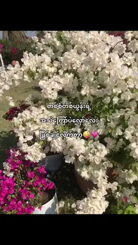 #thinkb4youdo #foryouuu #fypシ゚viral #moots? @TikTok 