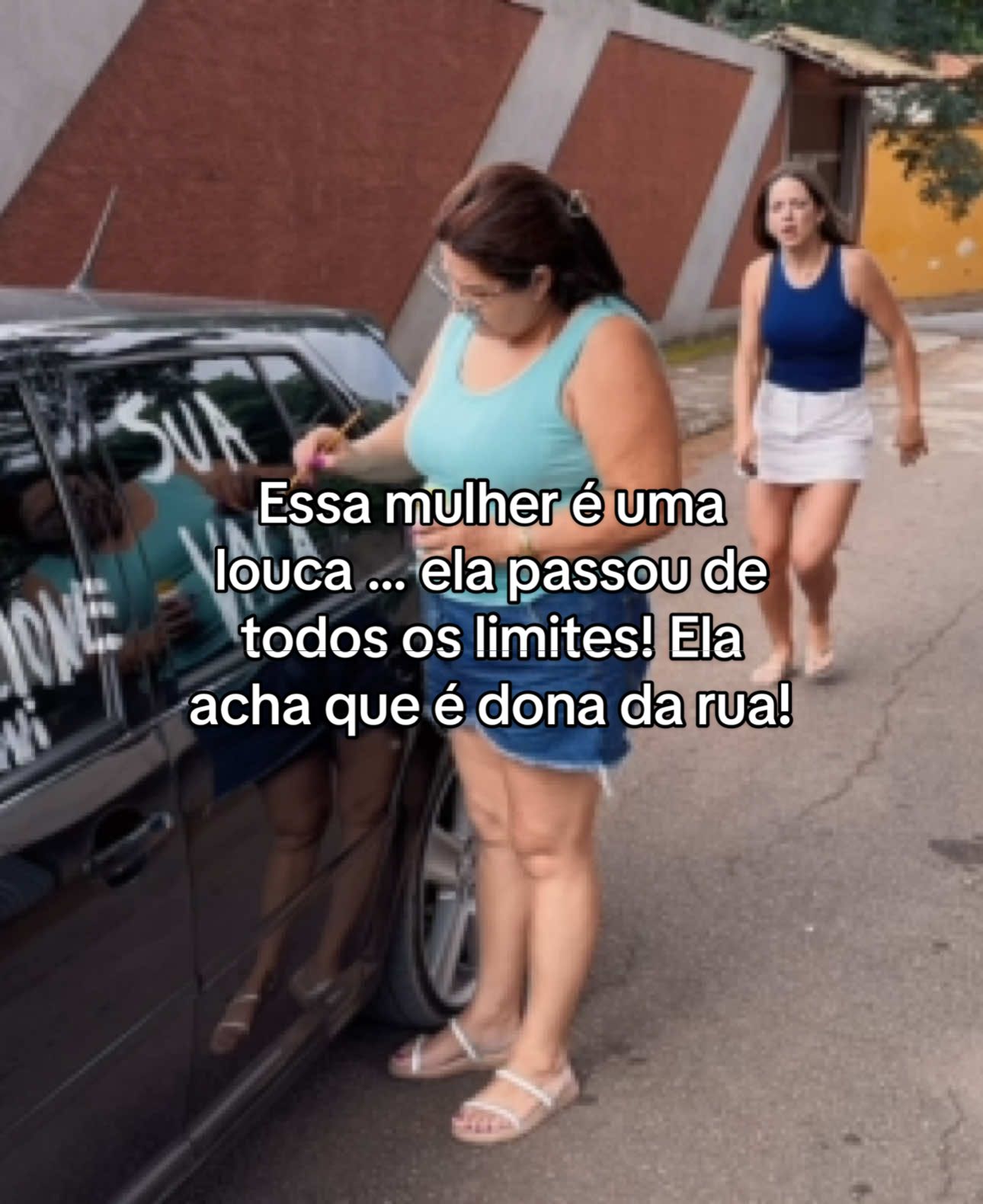 Essa mulher é uma louca ... ela passou de todos os limites! Ela acha que é dona da rua e acabou com meu carro 🤨😤 #tamarakastro #novelas #tamara 