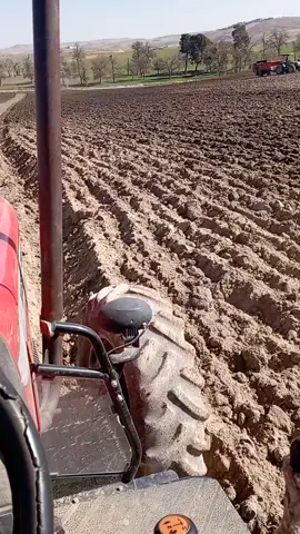 #سطيف_العالي_ٱخاالي #ديديكاس_ل_58_ولاية_وين_كانو #الشعب_الصيني_ماله_حل😂😂 