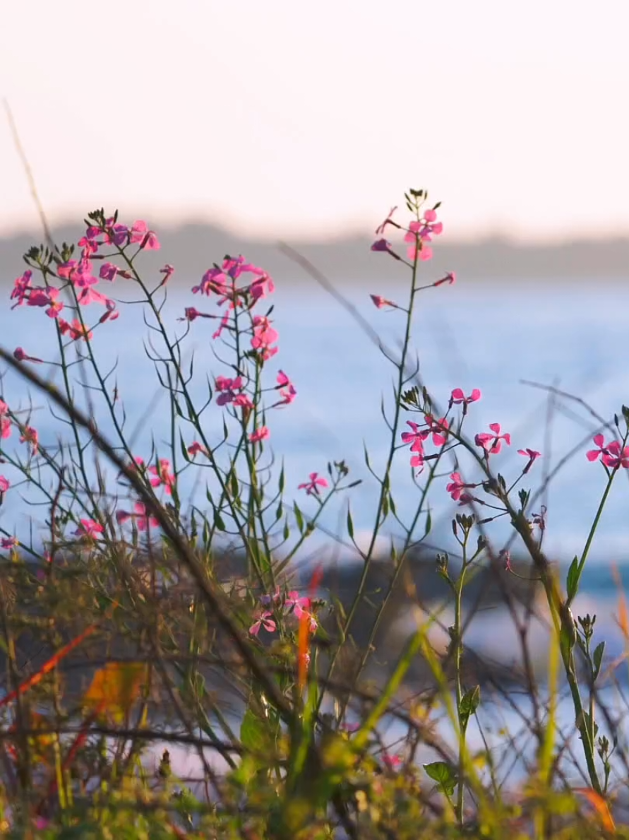 #nhenhang #binhyen #thugian #chill #sea #cảnhđẹpthiênnhiên #fyp 