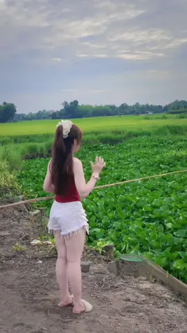 Về miền tây tui dắt đi câu cá Trắng khổng lồ😘😜#fyp #70tayninh #tiktok #xuhuong #vairal #gaimientay #foryou #giaitri 