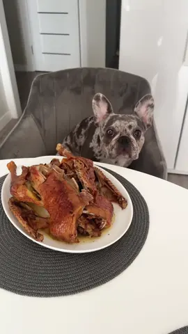 #французькийбульдог #frenchbulldog #бульдоги #bulldogfrances #bulldog 