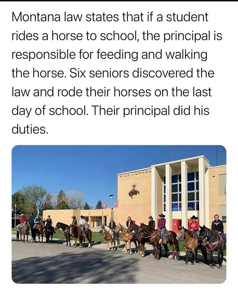 School/senior/seniors/horse