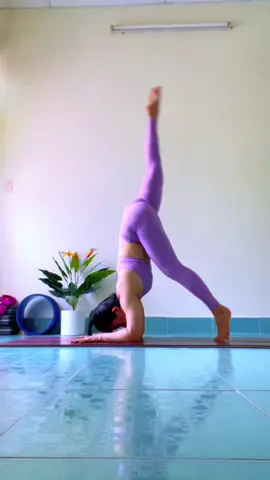 Pincha cùng em Loan thôi nào.❤️#Pincha #yoga #Hanstand #YogaKimLoan #xuhuong 