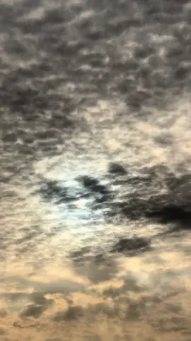 شنو الغريب بالمقطع ؟ 😝🖤🖤. #explore #مالي_خلق_احط_هاشتاقات #دوج_تشارجر #tabuk #تبوكنا 