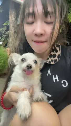 #trendingtoday #သဲလေးကပုံရိုက်ttဆော့ငြိမ်နေယော🥰#❤️❤️rapli #မင်းတို့ပေးမှ❤ရမဲ့သူပါကွာ #likeဗုံမကျဲပါကြပါနဲ့🥺🥺viewတွေရှယ်ကျ😔 #fypシ゚viral🖤tiktok☆♡🦋myvideo❤️❤️🥰🥰 #fypシ゚viral🖤tikt #သေမှfypရောက်မှာလား👊🏿 @💛𝐾𝒉𝑖𝑛 𝑀𝑦𝑜 𝐶𝒉𝑖𝑡💛 