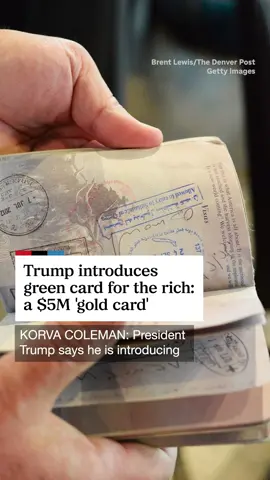 President Trump said he is planning to introduce a new visa to attract rich foreigners to America — something he is calling a 