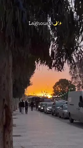 #laghouat03  #citymkam #المقام_الاغواط #fypシ゚viral🖤tiktok 