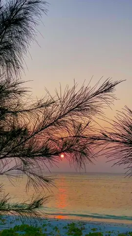 Mere mehboob qayamat hogi            #fyp #foryoupage #bollywoodsong #hindisong #sad #Love #foryou #lyricsvideo #sunset #beachvibe #meremehboobqayamathogi 