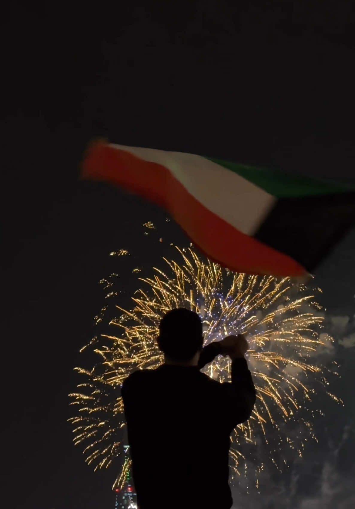 Kuwait Fireworks 🎇 2025  #trendzkwt #الكويت #fyp #kuwaitcity #فبراير_الكويت🇰🇼🇰🇼🇰🇼 #فبراير_الكويت🇰🇼🇰🇼🇰🇼 #kuwaitnationalday #februarykuwait #مدينة_الكويت #العاب_نارية 