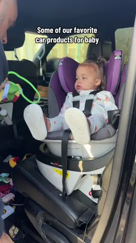 Must haves for our Krubie in the car! #car #musthaves #baby #toddlers #toddlermom #favorites #tiktokshop 