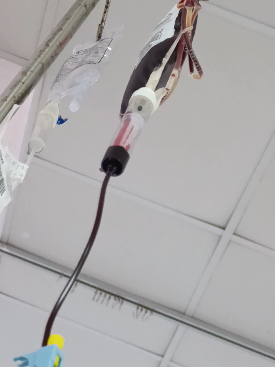 Tengo más aprendizajes que motivos para quejarme.  Agradezco todos mis procesos y los abrazo con AMOR. 🩸❤️‍🩹 #Anemia  #Aprendizajes  #Amor  #Transfusión #Sangre 