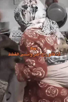 الفيديو ف قناتي ف البايو 