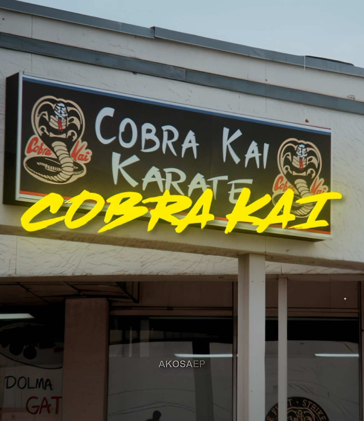 representing COBRA KAI 🔥 #cobrakai #cobrakaiedit #fyp #johnnylawrence #migueldiaz #edit #viral  | ib:@𝐖𝐄𝐑𝐍𝐄𝐑 