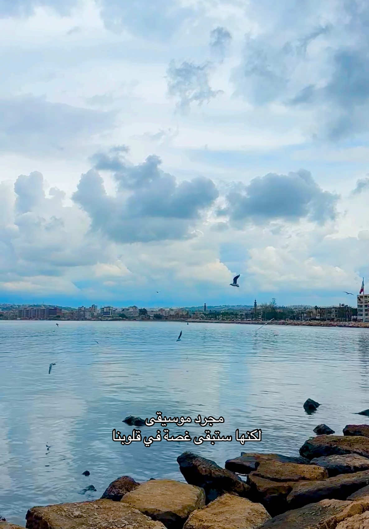 #fyppppppppppppppppppppppp #وداعاً_ابانا #لبنان #جنوب_لبنان🇱🇧 #السيد_حسن_نصر_اللہ #تشييع_السيد 