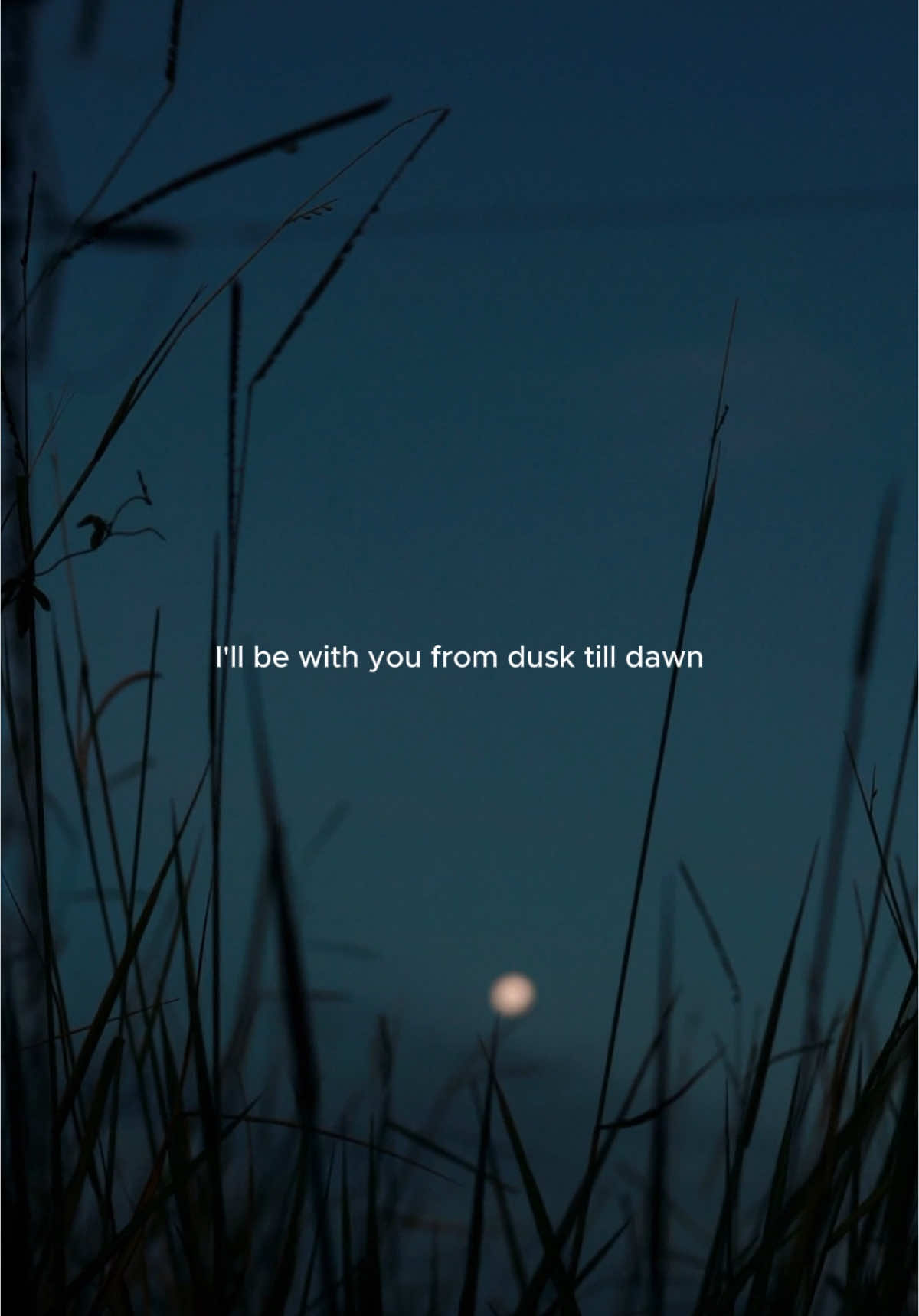 I'll be with you from dust till dawn #dusktilldawn #slowedsongs #zaynmalik 