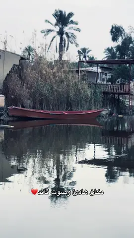 #سيد_فاقد #اهات #شور #اكسبلور #محمد_الحصناوي #البصرة #كربلاء #بغداد #البصره #النجف #مشاهدات #تصوير #تصويري #ستوريات 