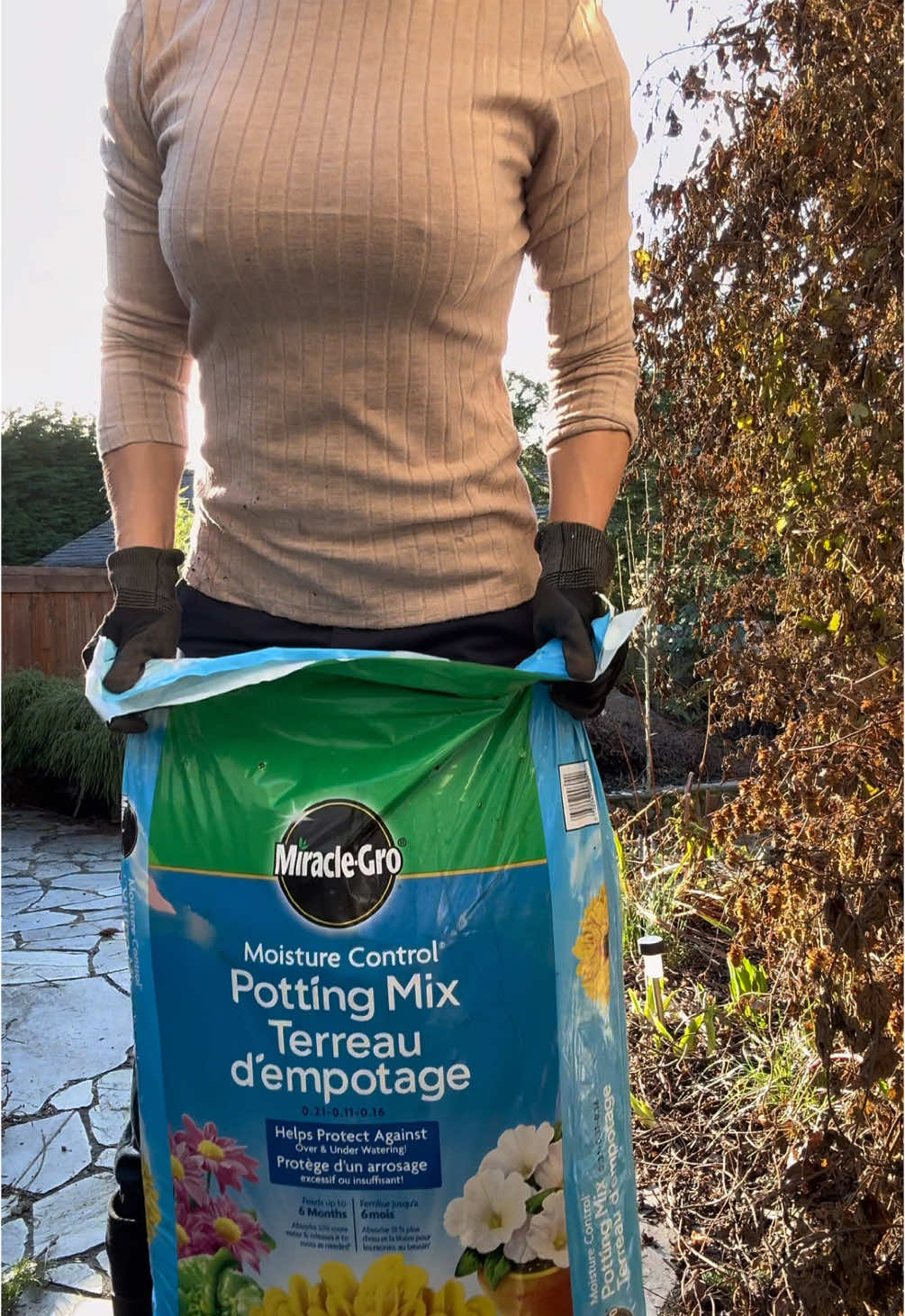 ☀️👩‍🌾🌱 #gardening #potting #wintergarden #pacificanorthwest 