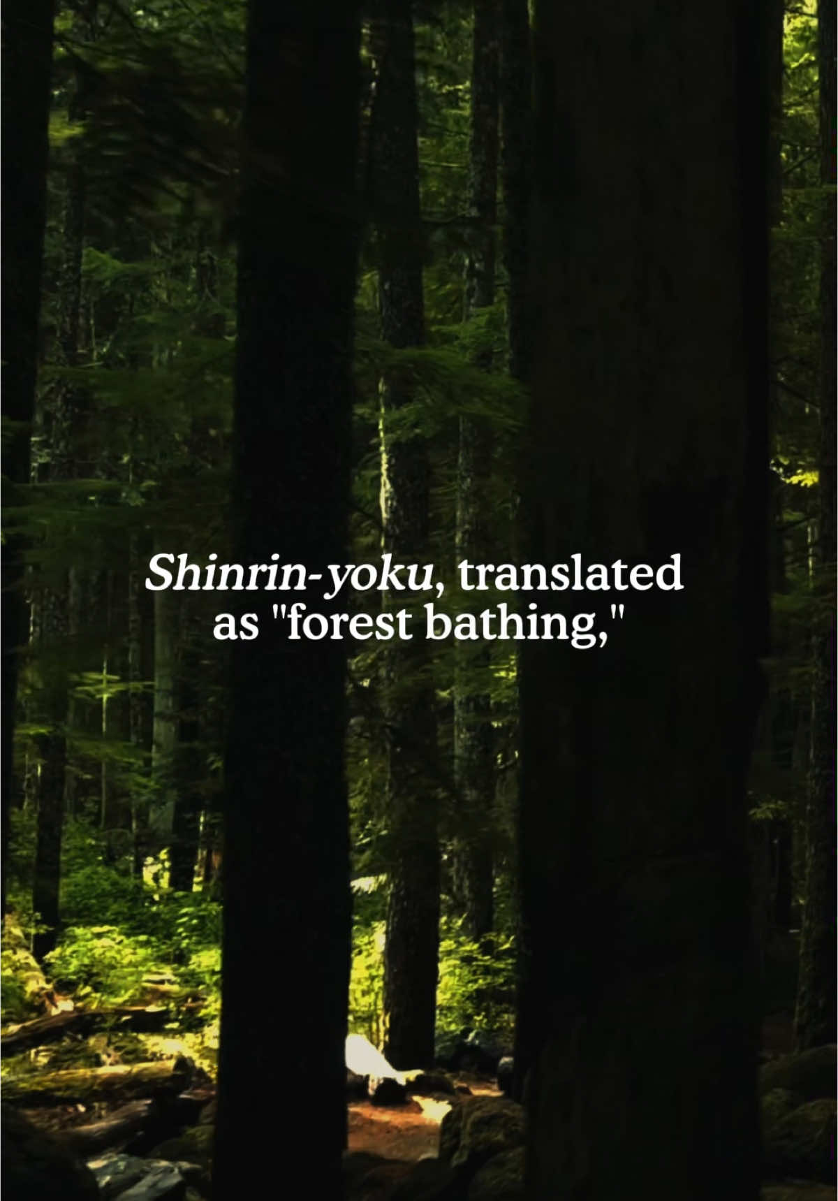 Shinrin yoku, or forest bathing, isn’t about burning calories or hitting a step count — it’s about being with nature, letting your senses fully engage. 🌿 The whisper of leaves, the scent of wild grass, the way light dances through the branches. These subtle experiences have profound effects, lowering cortisol, easing tension, and restoring balance. In a world that pulls us in a million directions, nature is an anchor. It reminds us that growth, renewal, and resilience are always possible. Good Stress is about embracing the natural rhythms of life — including the stressors that make us stronger. 🌱 Link in bio to preorder the book. Order it today and get $900 worth in bonuses, including free access to select @Commune courses.  #GoodStress #forestbathing #natureathome #naturevibes #naturelover #meditation #meditatewithme 