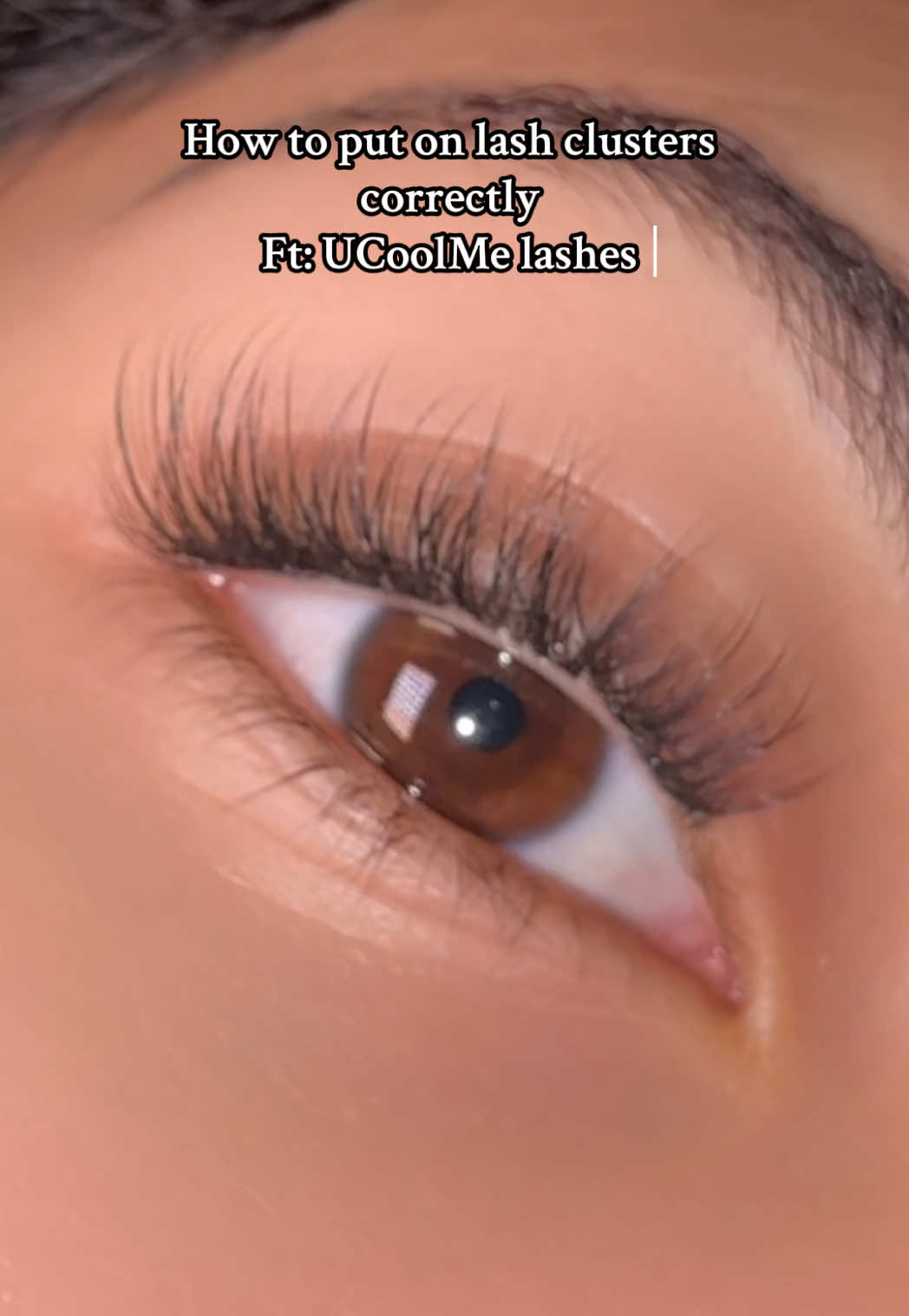 The lowest price on February restock🥰#fyp #foru #viralvideo #lashclusters #ucoolmelashes #ucoolme #natural #short #venus #xyzbca #foru #fyp #diylashextensions #tiktokshopfebuaryrestock 