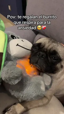 No puedo parar de llorar…. 🥺💔 #toy #peluche #plushies #juguete #ansiedad  Este peluche de Burro animal burrito stich que respira es perfecto como regalo de san Valentín para eliminar la ansiedad mal tiempo estrés y para dormir tiene orejas que se abren y cierran verde aguacate cierre zipper y está súper tierno emite luz y sonido 