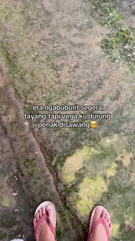 😢😢#5tpgank #vegaR #deprokstyle #bebek116tu #54boys🐢 #fyppppppp #xyzbca 